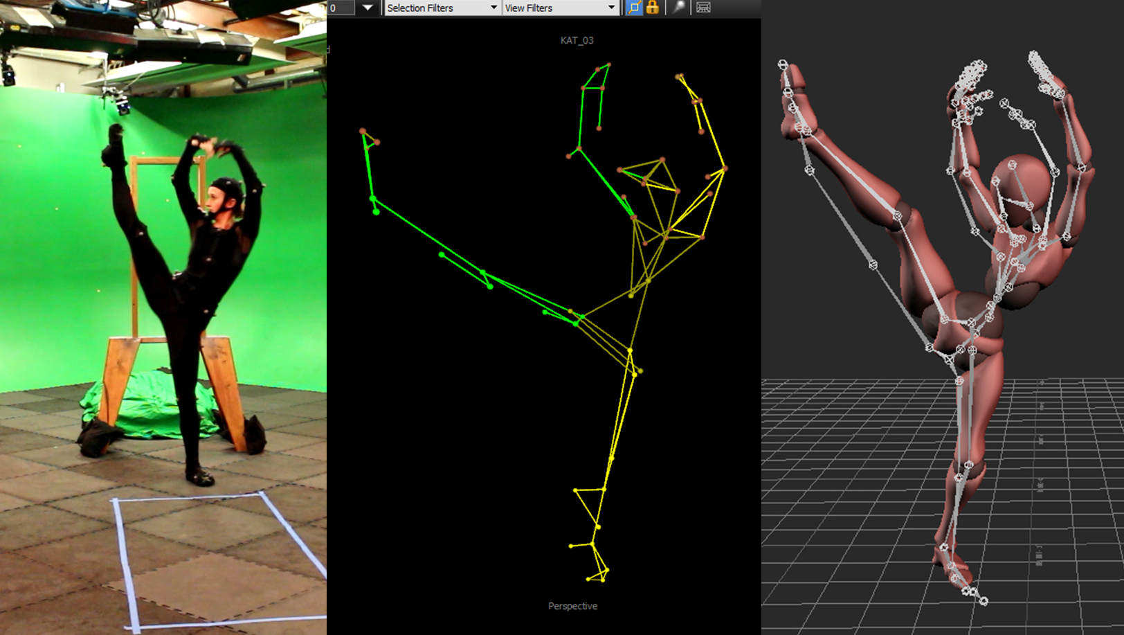 Motion capture data